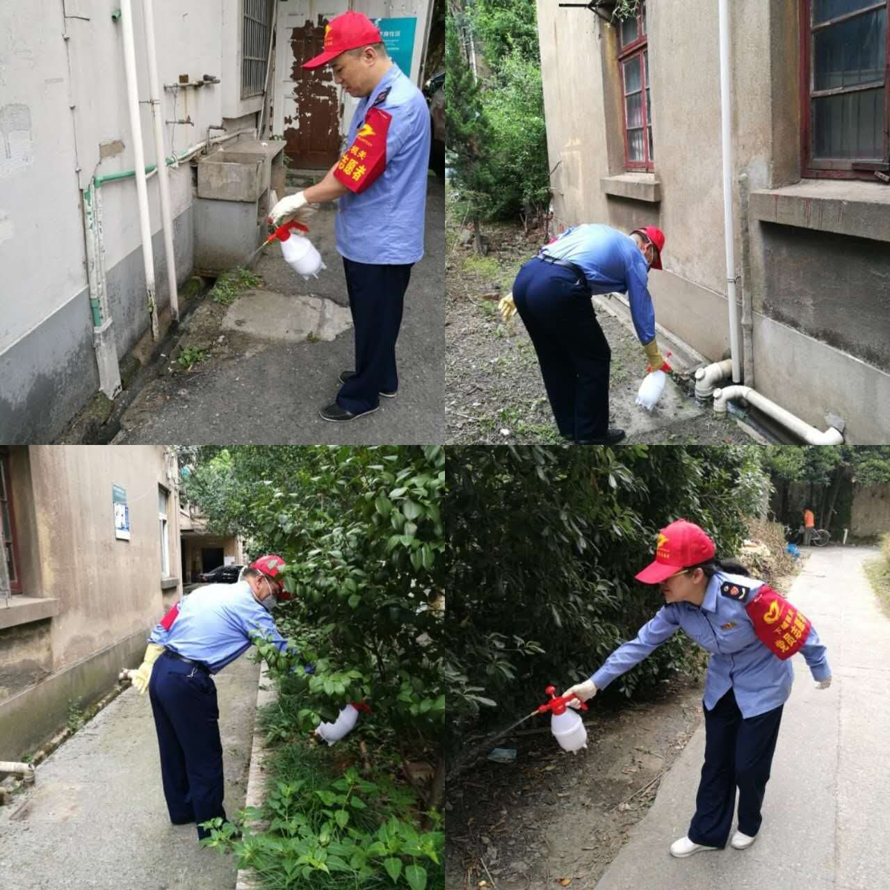 2017年9月1日，區(qū)市場(chǎng)監(jiān)管局黨員參加社區(qū)滅蚊志愿活動(dòng).jpg