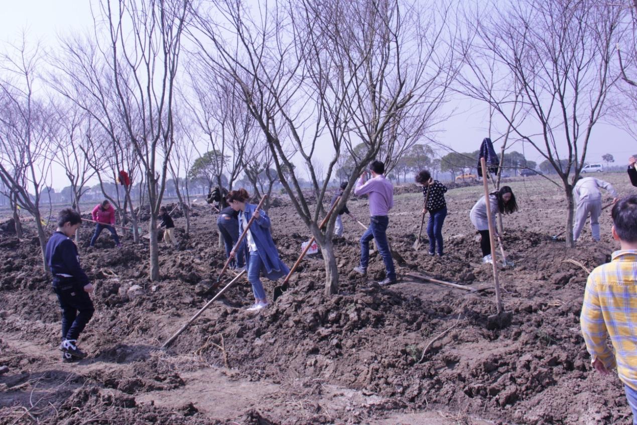 黨支部組織黨員義務植樹.jpg