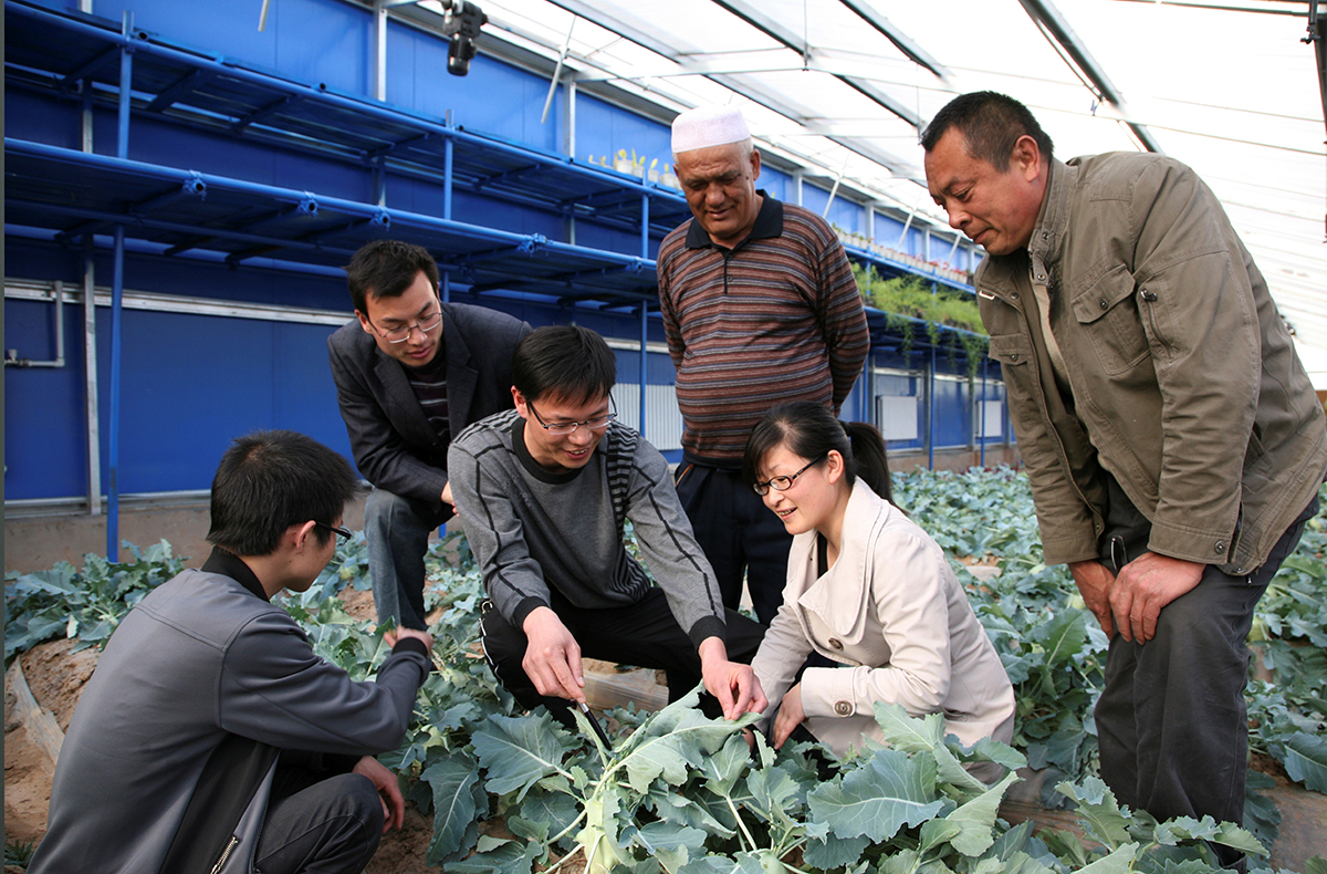 6-17  寧波援疆教師在庫車縣中等職業技術學校農業實訓基地實地指導綠色無公害蔬菜栽培管理技術.jpg