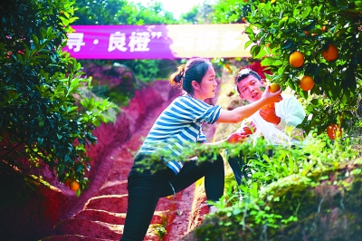 你的職業(yè)過(guò)時(shí)了嗎